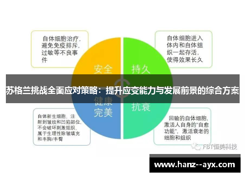 苏格兰挑战全面应对策略：提升应变能力与发展前景的综合方案